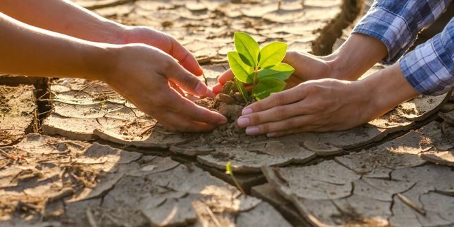Ticari Tarımın Sinsi Tehdidi