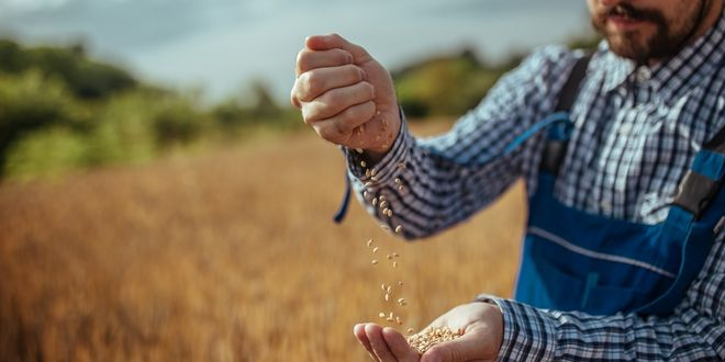 DESTEKLEMELER ÖDENİYOR