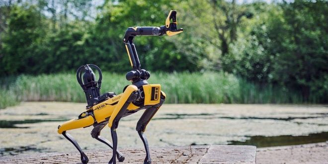 Robotik Köpekler Sahneye Çıkıyor