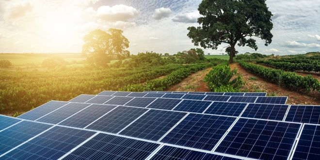 Tarım ve Güneş Enerjisinin Ortak Yararı