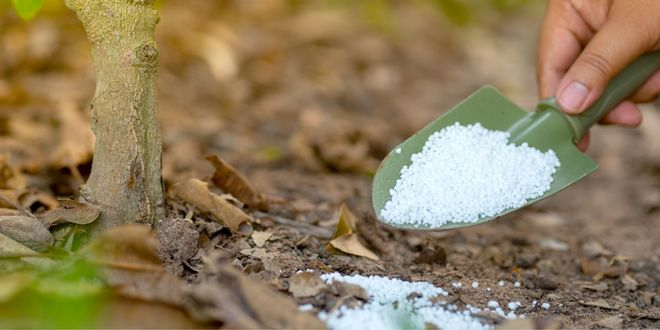 Tarımsal Gübrelerin Amonyak Emisyonları Çevre ve Sağlık İçin Tehdit Oluşturuyor