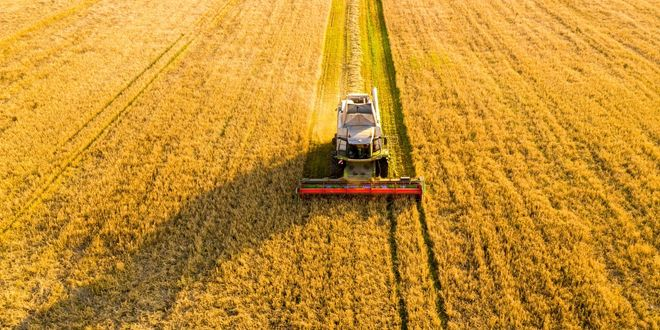 Desteklemeler Bugün Ödeniyor