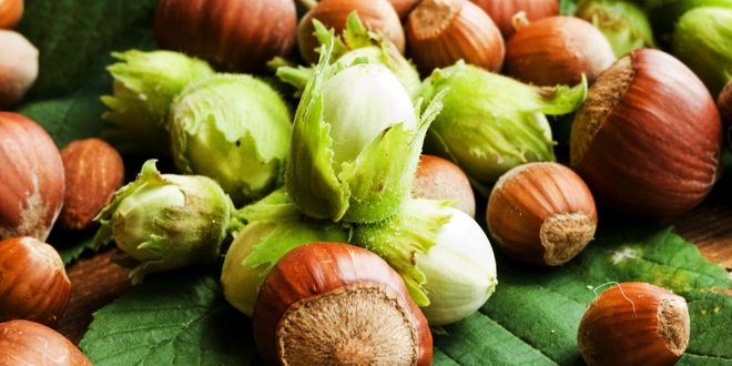 Aydemir Fındık 100 TL Olmalı