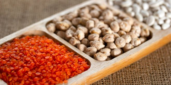 AHBİB Başkanı Memiş Nohut Ve Kırmızı Mercimekte Rekolte Yüksek