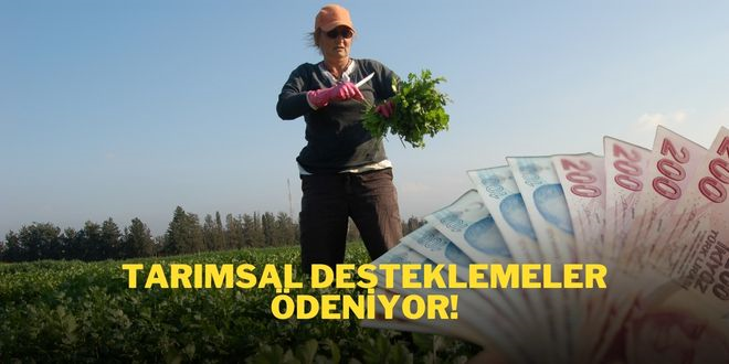 DESTEKLEMELER ÖDENİYOR