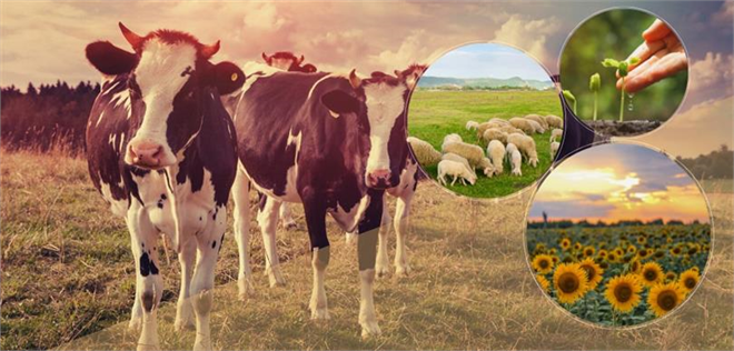 DESTEKLEMELER ÖDENİYOR