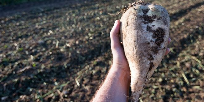 Sulama Avans Ödemeleri Yapıldı