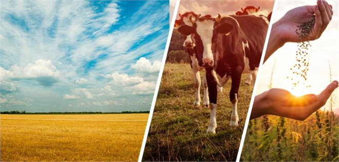 Tarım Destekleri Bir Kez Daha Değişecek