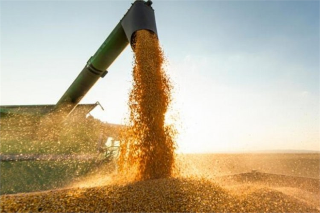 AB 5 Üye Ülke İle Ukrayna Tahılına Uygulanan Yasağın Kaldırılması İçin Prensipte Anlaştı