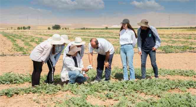 Selçuk Üniversitesi Karpuz ve Kavun Üretiminde Su Tasarrufunu Hedefliyor