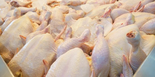 Tavuk Eti Üretimi Haziran da Yüzde 19 7 Azaldı