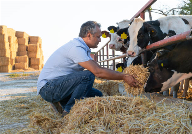 ABD Tarım Bakanlığı Türkiye Hayvancılığı Mercek Altına Aldı