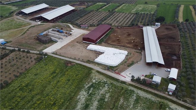 Bakan Yumaklı Damızlık Düve Yetiştiriciliği İçin 80 Milyon TL Hibe Desteği Sağladık