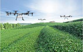 Sürdürülebilir Tarımın Geleceği: İsrail`den İlham Almak