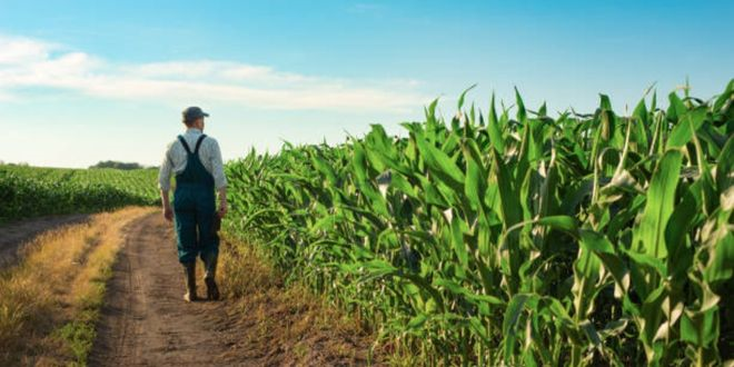 Desteklemeler Bugün Ödeniyor