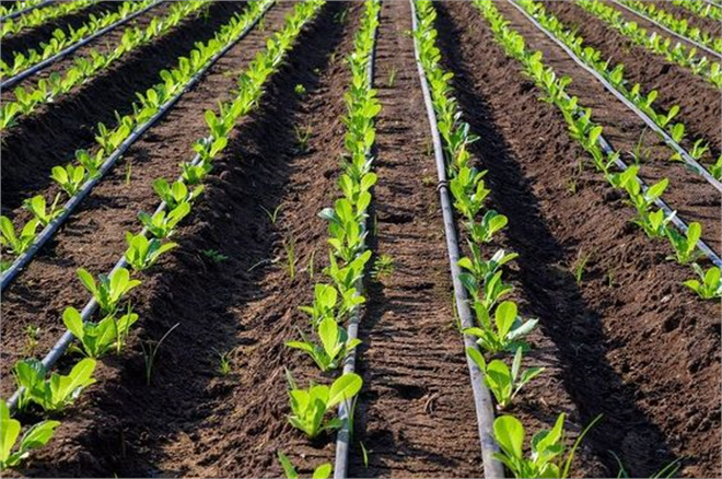 Bireysel Sulama Sistemleri Hibe Desteği