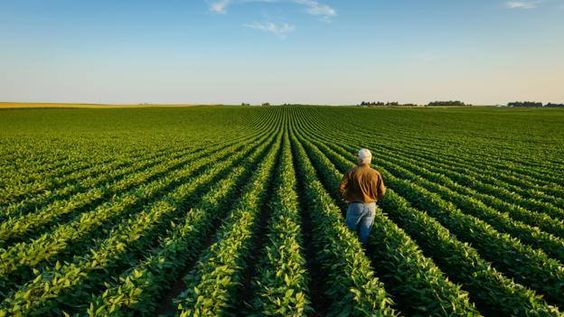 Kırsal Kalkınma Yatırımları Destek Başvuruları Devam Ediyor
