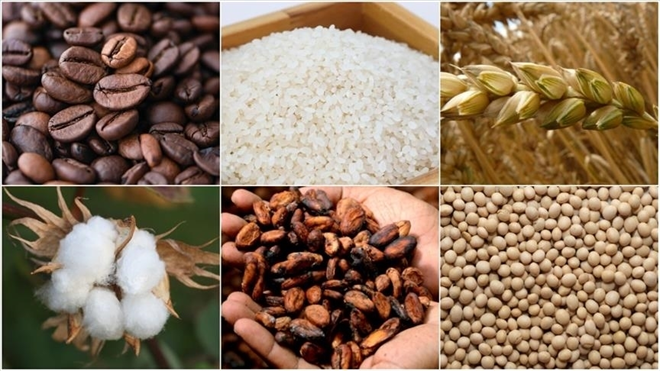 Çin`in Yeni Teşvik Paketleri, Emtia Piyasalarına Canlılık Getirdi