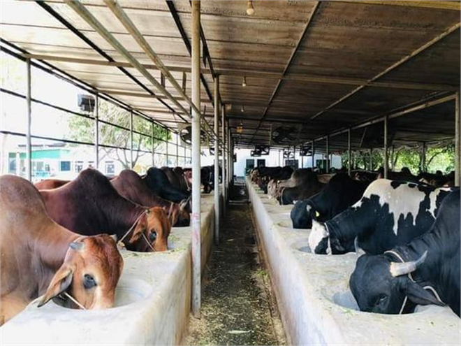 IPARD II Programı 13. Başvuru Sonuçları Açıklandı!