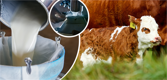 Desteklemeler Ödeniyor