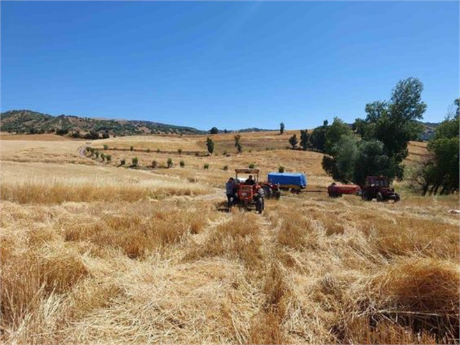 Hububat Alım Ödemeler Devam Ediyor