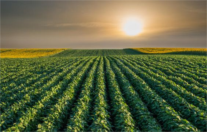 Desteklemeler Ödeniyor