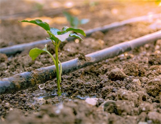 Desteklemeler Ödeniyor