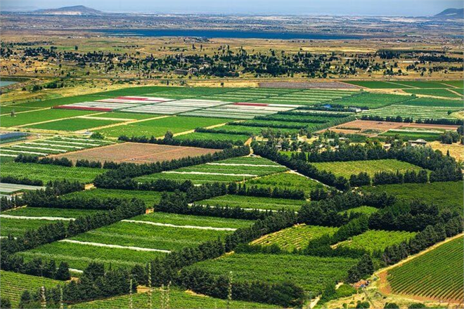 Desteklemeler Ödeniyor