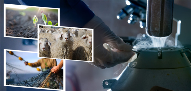 Desteklemeler Ödendi!