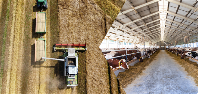 Desteklemeler Ödeniyor