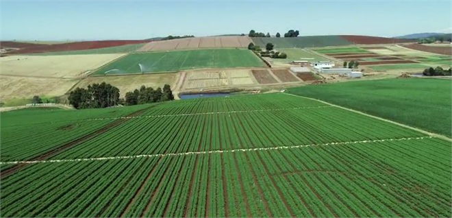 Desteklemeler Ödeniyor