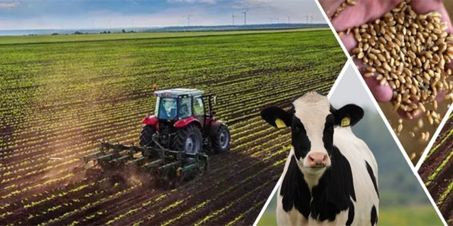 Desteklemeler Ödendi!