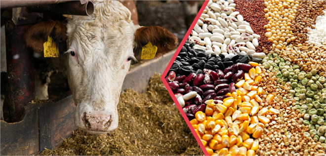 Yaklaşık 345 Milyon Liralık Tarımsal Destekleme Ödemesi Hesaplara Aktarılıyor!