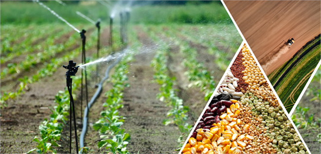 Yaklaşık 275 Milyon Liralık Tarımsal Destekleme Ödemesi Hesaplara Aktarılıyor!