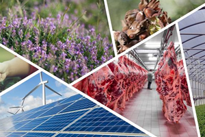 KIRSAL KALKINMA YATIRIMLARINA HİBE DESTEĞİ VERİLECEK