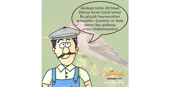 Akideşle böön 20 Maat Dünya Secee Günü ymüş Bu göççük hayvancıkları goruyalım Gereksiz ve fazla darım ilacı gullanıp onları öldüümeyelim