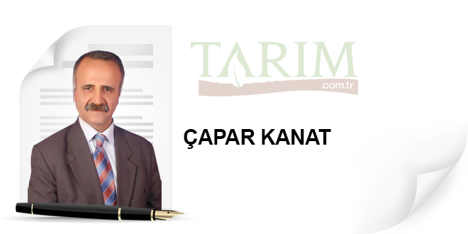 Küresel Bir Felaket Kanal İstanbul