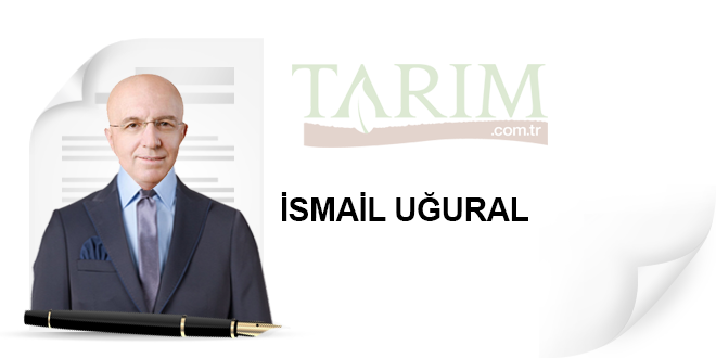 Tarım Parselleri Verim Modeli