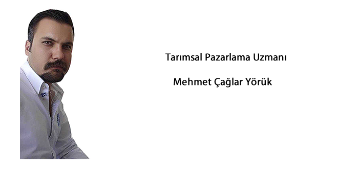 Ev tipi tarımsal üretimin ekonomiye katkısı