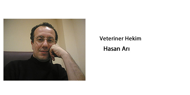 Kırmızı Et tüketiminin Önemi