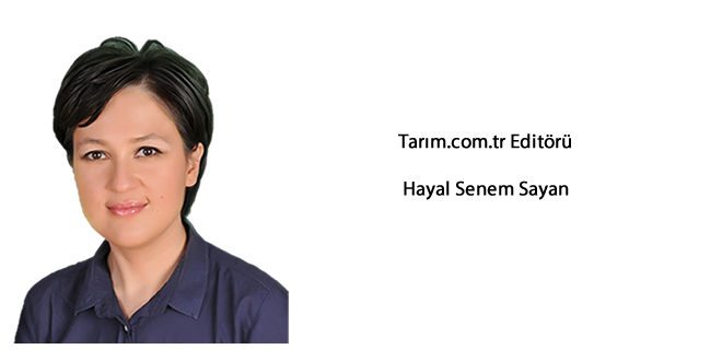 Mevsimlik Tarım İşçilerinin Sorunları ve Ekonomiye Katkıları