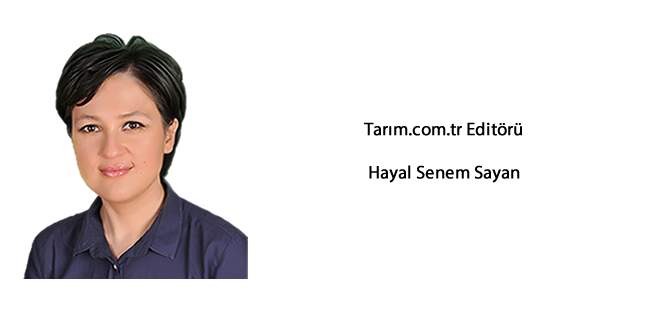 Köyde Kadının Adı Yok