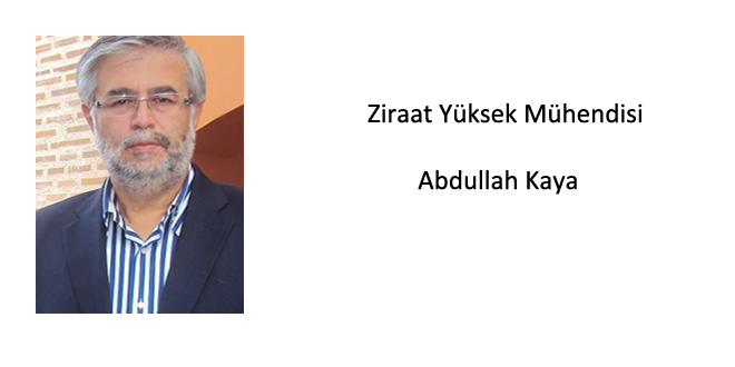 Bitkisel Üretimde Dengeli Gübreleme