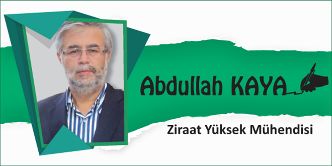 Anız ve Anız Yakmanın Zararları