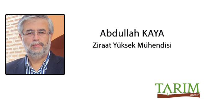 Ziraat Mühendisleri ve Sorunları