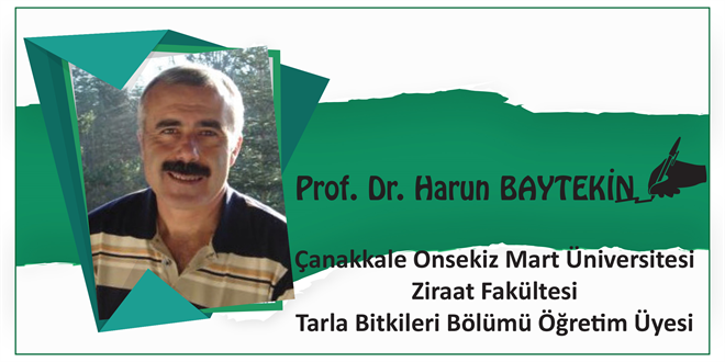 Silajın İncelikleri