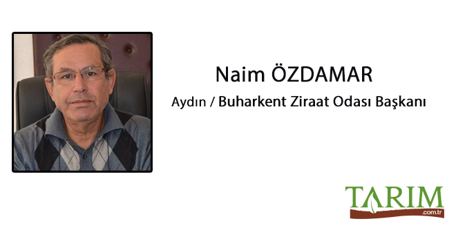 2017 İncir Sezonuna Girerken Taze İncirin Pazarlama Sorunları