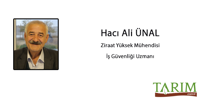 KAYBOLAN VE İHMAL EDİLEN DEĞERLERİMİZ