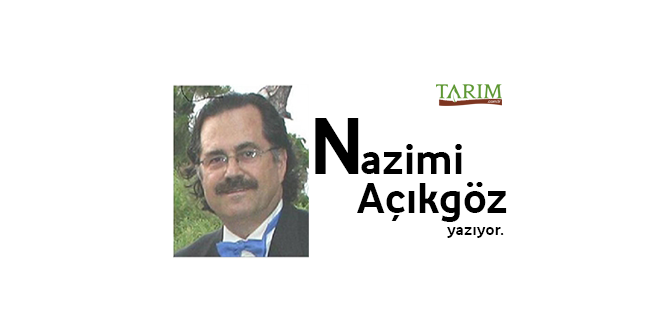 NASIL OLUYOR DA TRANSGENİK BİTKİLERİN EKİM ALANLARI HER YIL ARTIYOR