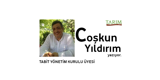 Akıllı Tarım Teknolojileri ve Tarımın Geleceği